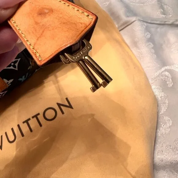 Authentic Louis Vuitton Multi Color Speedy 30 - Picture 4 of 15